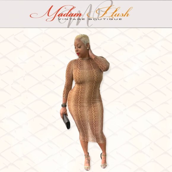 Sheer Bodycon Dress - Picture 1 of 3